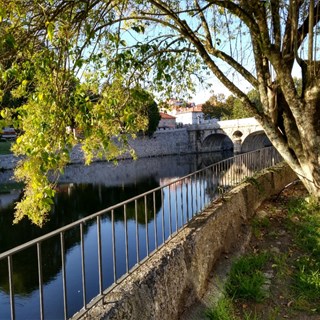 JoãoBranco