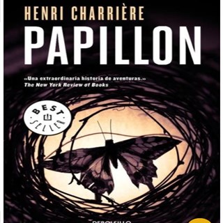Papillon-4