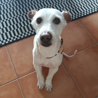 Leonor-710